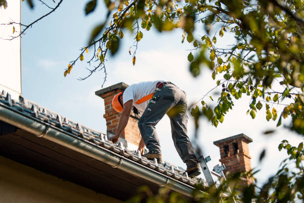 Best Roof Waterproofing Services  in Reidsville, NC